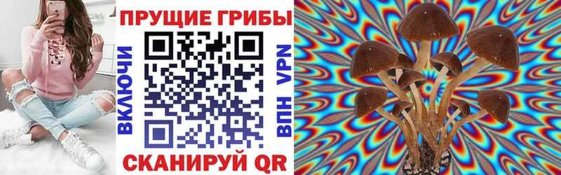 Псилоцибиновые грибы ЛСД  Красный Кут 