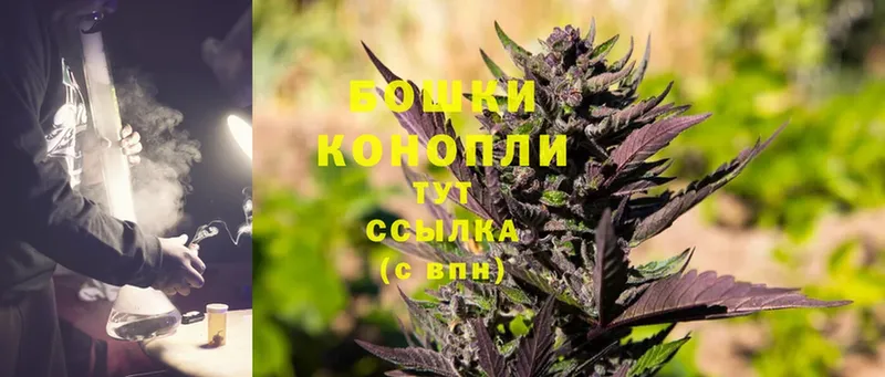 где можно купить наркотик  Красный Кут  МАРИХУАНА SATIVA & INDICA 